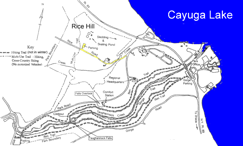 Rice Hill Map